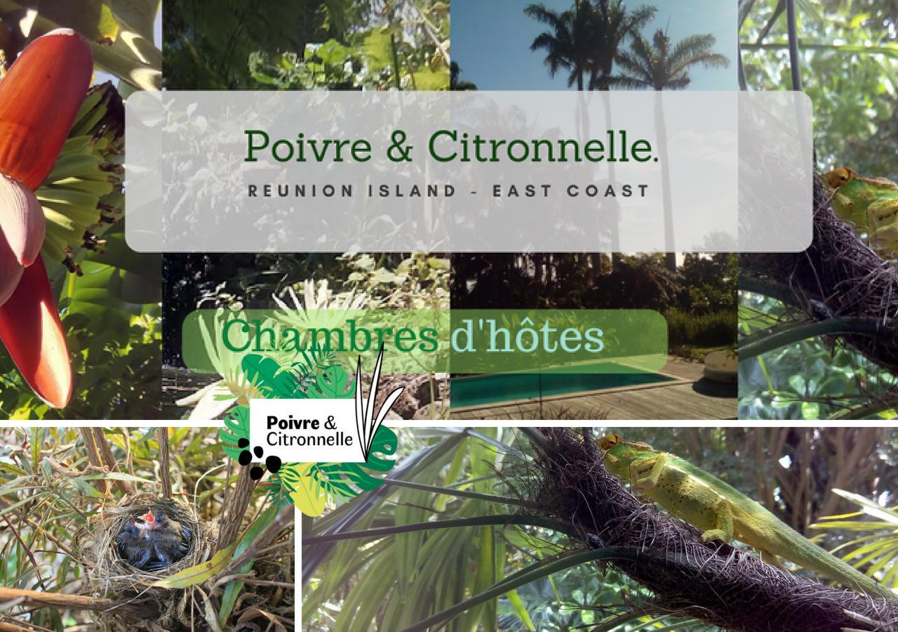 Poivre Et Citronnelle Bed & Breakfast Saint-Andre Exterior photo